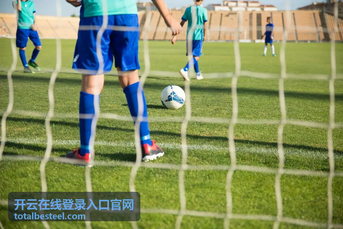 开云在线登录入口官网访问准备与页面浏览示意